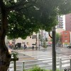 雨が降ったり止んだりの一日だった