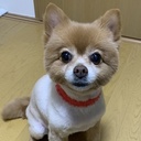 yum5の気ままに呟き