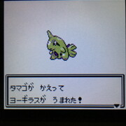 色違いポケモン紹介 Vc産ヨーギラス 自由に生きてあそblog 色違いポケモン紹介 Vc産ヨーギラス 自由に生きてあそblog
