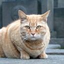おだやかになることを学ぶ