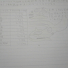 体の仕組み１の解説　その２