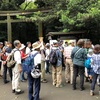 明治神宮探鳥会は昆虫、キノコ、野鳥！