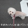 ～愛犬用りんご甘酒～