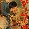 『嵐を呼ぶ男』(日活1957：井上梅次)