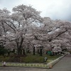 京都府立植物園。