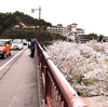 錦帯橋と桜（２）周辺の風景＜２＞（山口県岩国市横山）