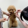 病院はしご＜２＞