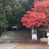 一の宮-120(神社百選-84)-宇倍神社　　2018/11/23　