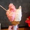 【あげてんや/ポーラーベア】行列できる博多グルメに人気のジェラート店。10月オープンの新店がアツい(イオンモール広島祇園)