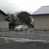春の雪