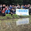 飯能風土季4年ぶり皆での田植え