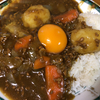 カレーライスを夕食に決定　爆睡･爆睡･大爆睡の日でした