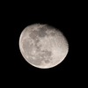 今日の星空