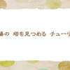 万博記念公園　【晩春の俳句】