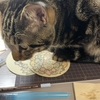 最近の色々