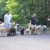 Happy Tails of South Jersey | Puppy Training near Marlton