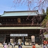 身延山久遠寺の枝垂れ桜満開でした