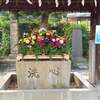 秋の松陰神社