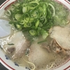 本年十三発目 福岡市福重 長浜ラーメン福重家