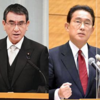 ☆河野大臣＆岸田前政調会長　鑑定