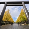 ⛩️靖国神社のイチョウ並木❗️