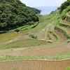 棚田と海と神社と石仏群と①　～　佐賀県　玄海町・唐津市