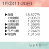 家計簿⋆*1月②11‐20日