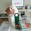 猫が好きな人