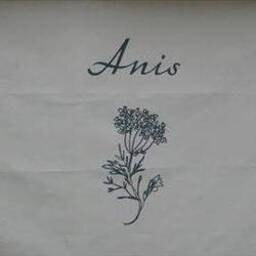 Anis