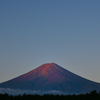 富士山麓の水場で賑わう夏鳥たち　"オオルリ・メス" "キビタキ" "カラの仲間"他　 　　　　　野鳥撮影《第166回目》