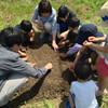 6月田植えの告知