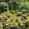 素晴らしい庭を堪能しました　三千院　大原　京都