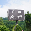 いなばのゆるぽた旅