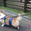 油壷マリンパーク②