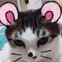 jknimo’s blog