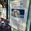 #上野動物園#アルン