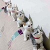 時代劇ってなんですか～ σ(^_^;