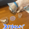 えらいぞ！！もっくん