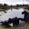 小櫃堰公園の池（千葉県木更津）