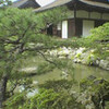 靴が壊れた