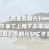 【西表島観光】水牛車で上陸する楽園！「由布島」を観光してきました