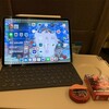 iPadでしてること