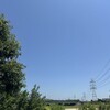 梅雨の合間の青空は、ことさらに青く。