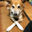 毎日を、これから、ずっと、私らしく暮らす
