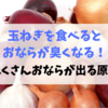 玉ねぎを食べるとおならが臭くなる！おならがたくさん出る原因