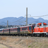 【新潟遠征⑤】SL村上ひな街道号を追いかけて in2026