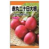 【家庭菜園】芽吹。二十日大根は今年無事に収穫できるのか？