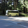 【栃木県】二荒山神社駐車場