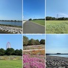 【夏休み2日目】葛西臨海公園まで10kmジョグ