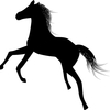 【追い切り注目馬】【エニフS】他　2022/9/10(土) 中京競馬　そう甘くはない？